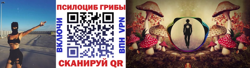 где продают наркотики  Горбатов  Галлюциногенные грибы Cubensis 